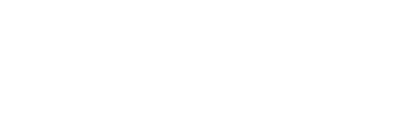 Executive Jet Management